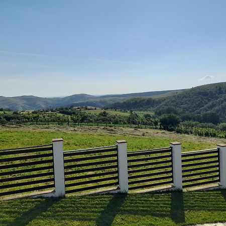 Vila Aloman Sebeş Exteriér fotografie