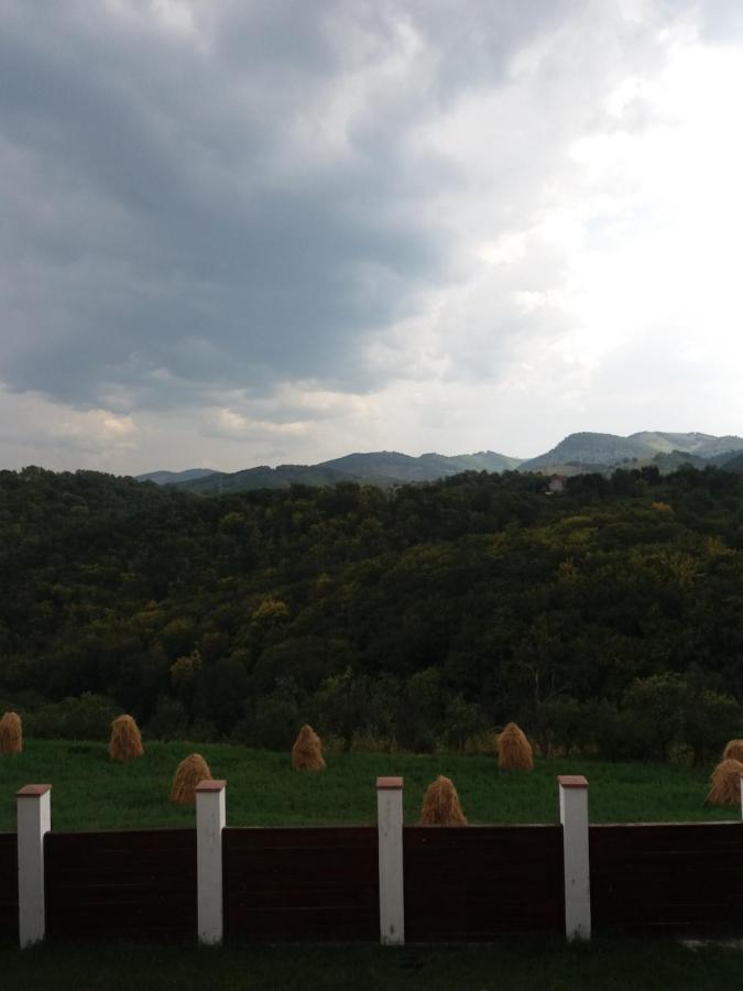 Vila Aloman Sebeş Exteriér fotografie