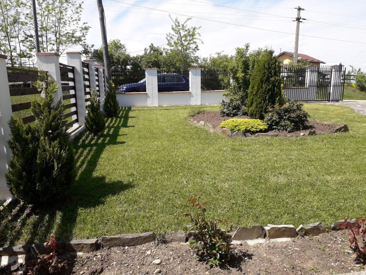 Vila Aloman Sebeş Exteriér fotografie