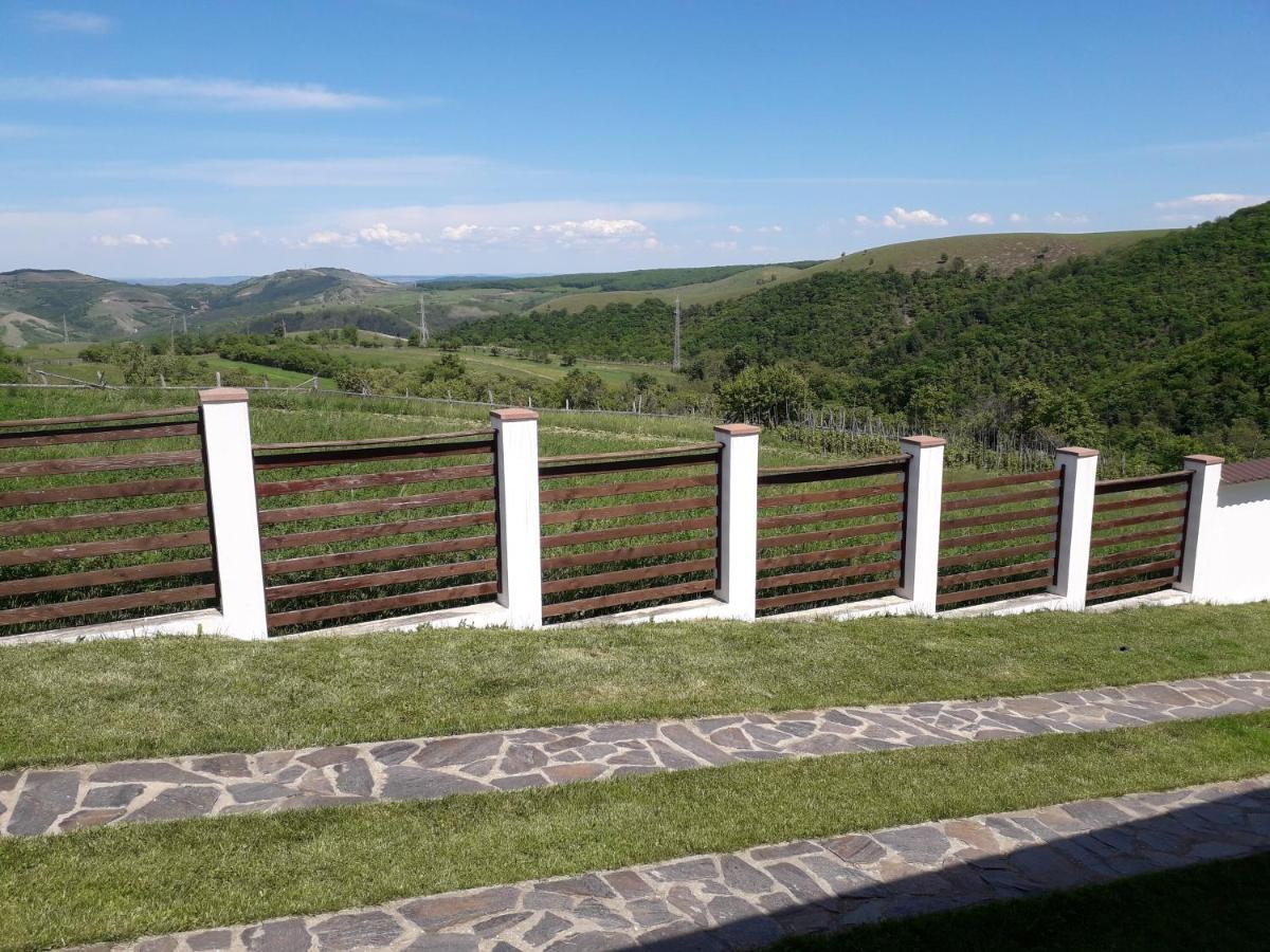 Vila Aloman Sebeş Exteriér fotografie
