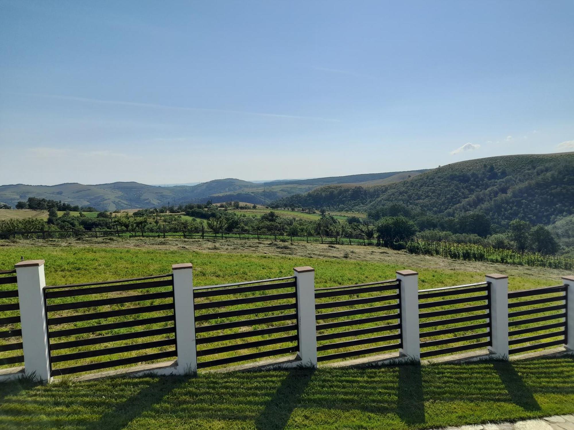 Vila Aloman Sebeş Exteriér fotografie