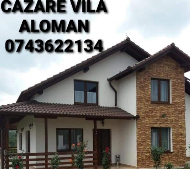 Vila Aloman Sebeş Pokoj fotografie